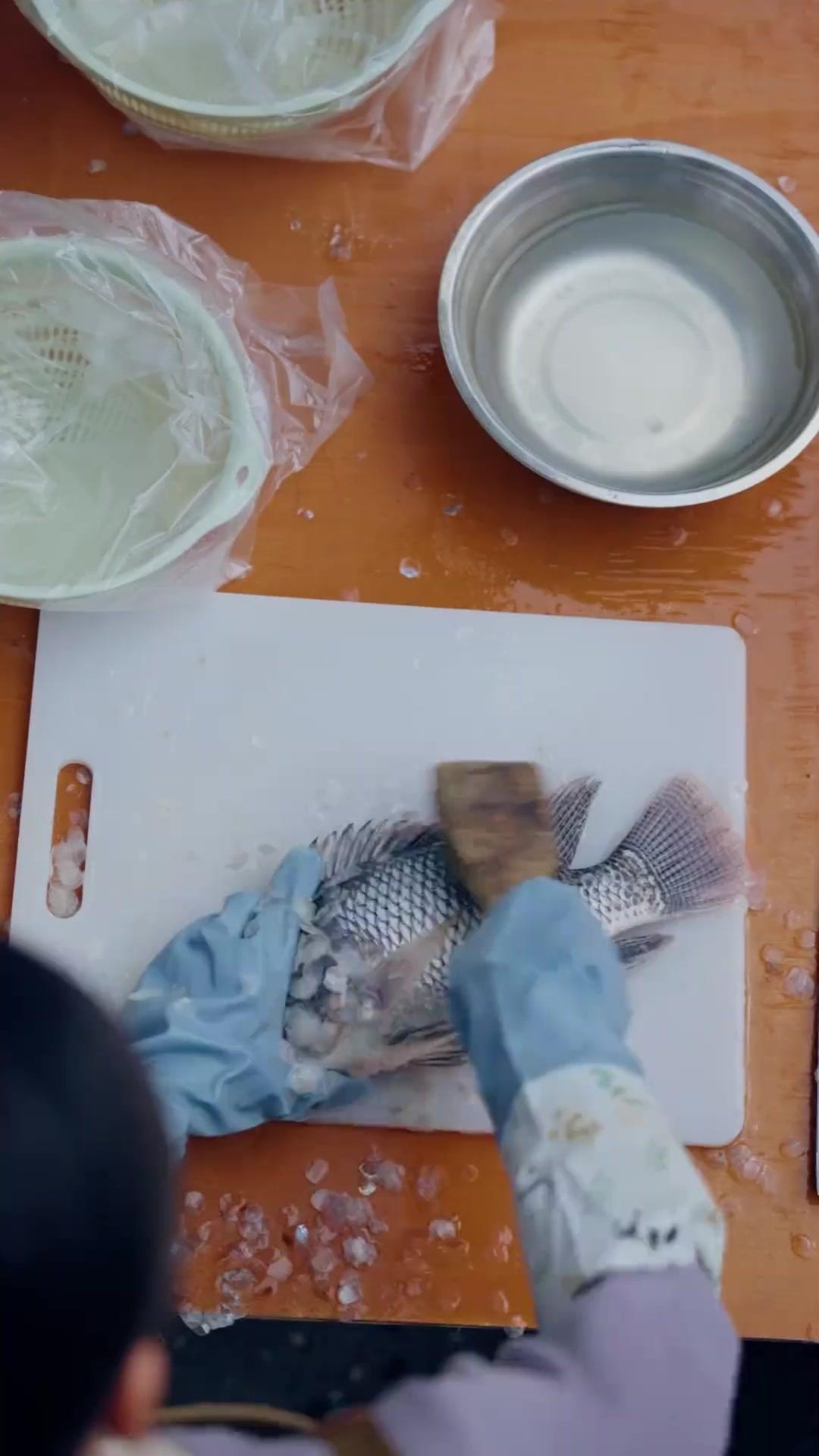 ¿Cuál es su verdadero hogar?