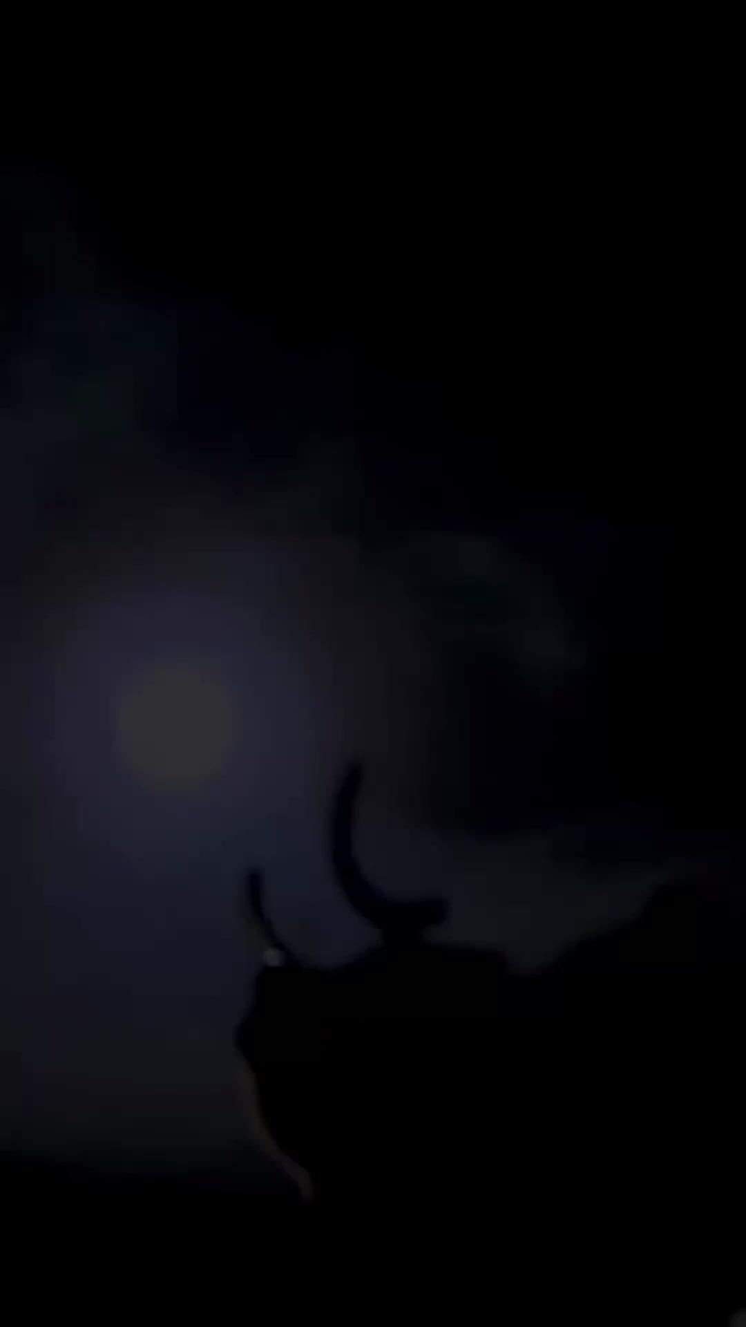 (Dubbed)Loving the Tyrant I Swore to Kill