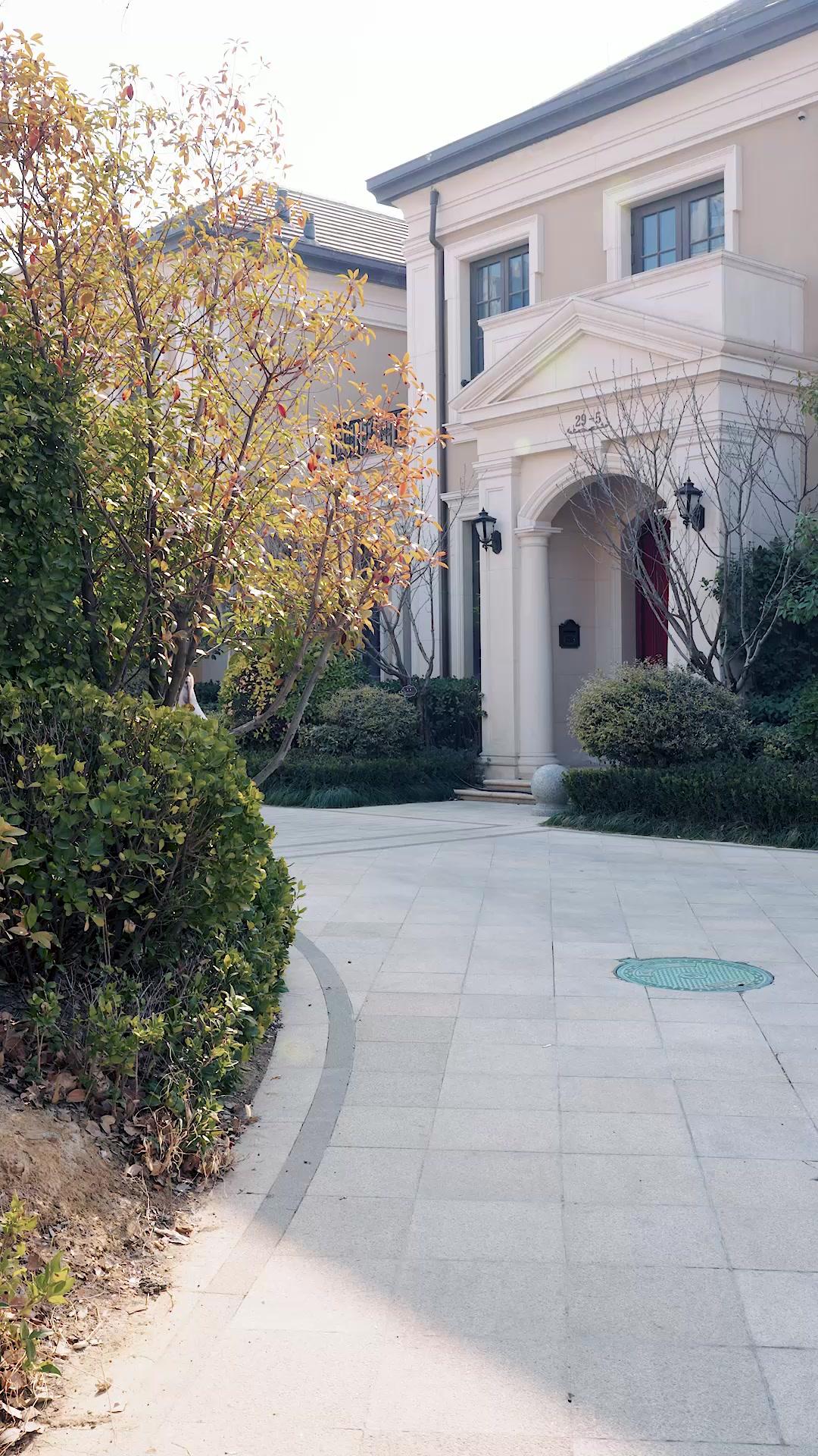 미스터리 신혼일기