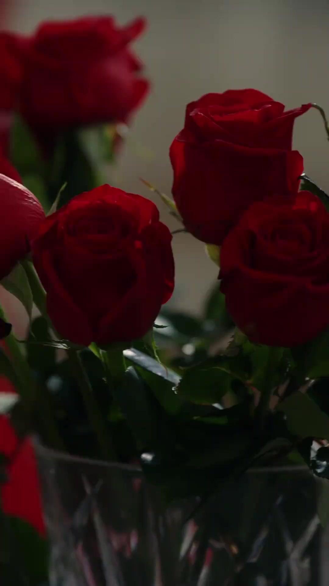 PIÉGÉE DANS TA CAGE DORÉE