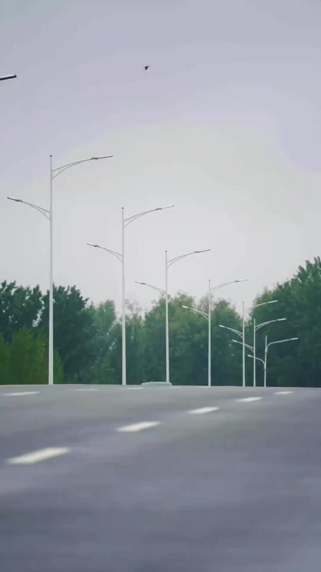 Người Lạ Chung Giường