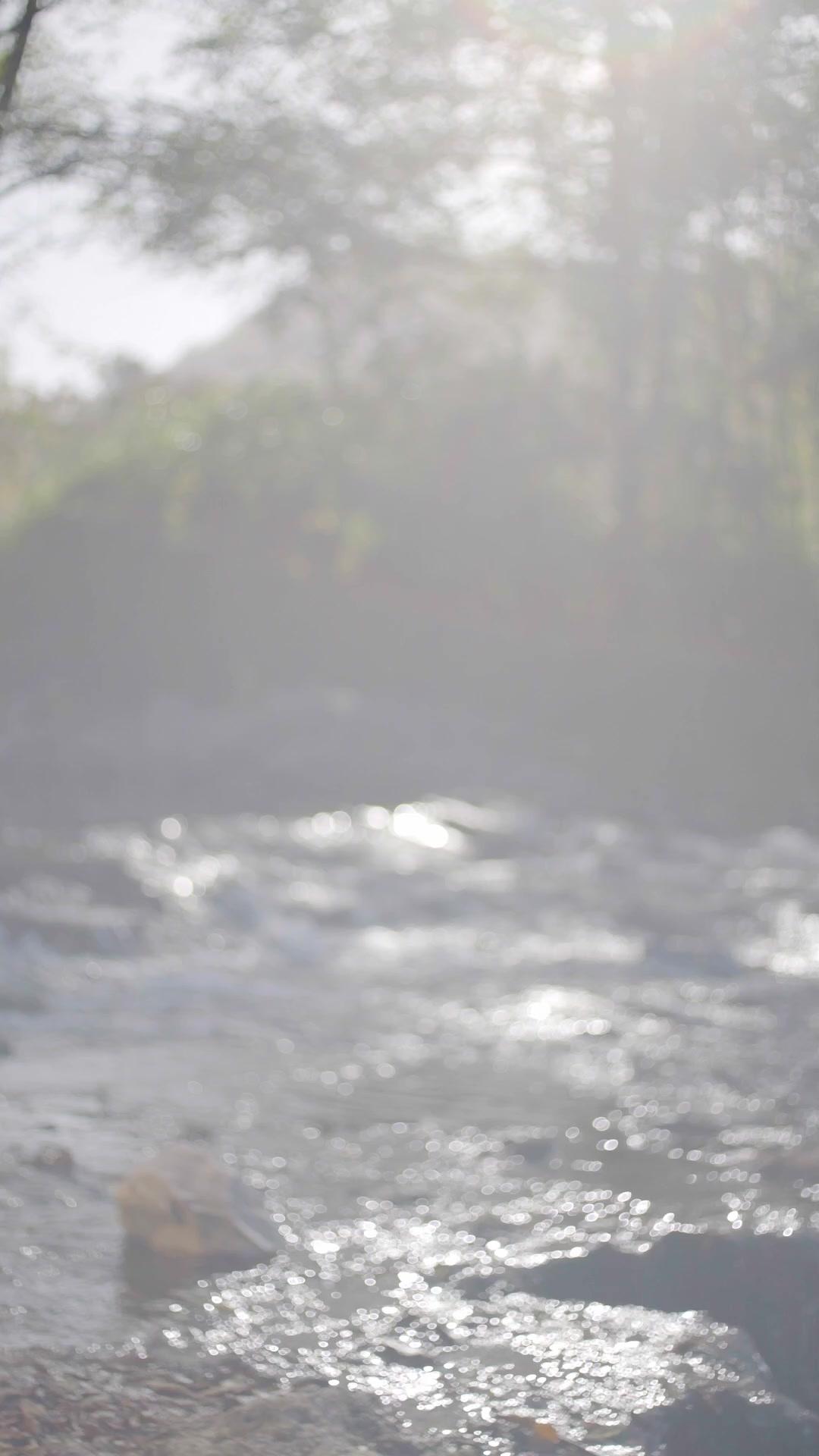 厲總，您的乖乖妻是裝的