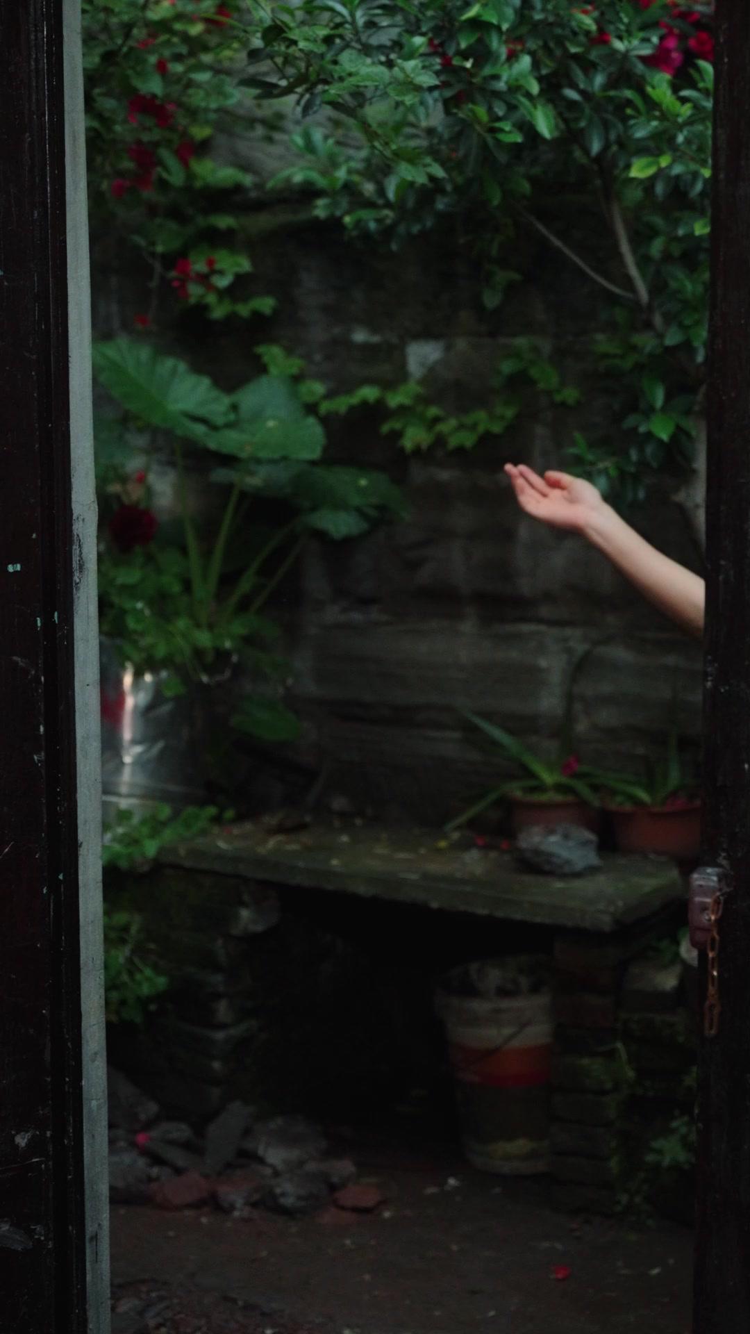 ใบ้ล่าล้างแค้น