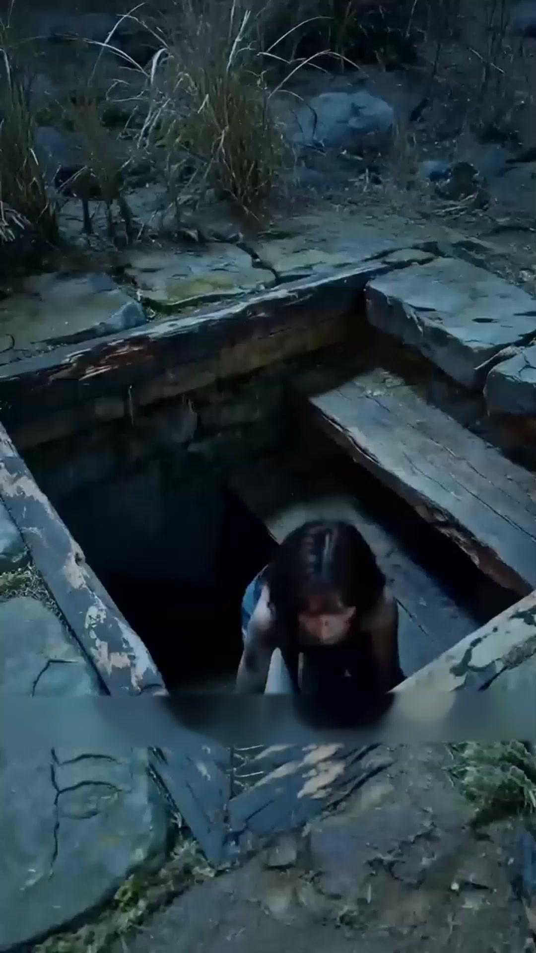 Tiny Car, Big Survival