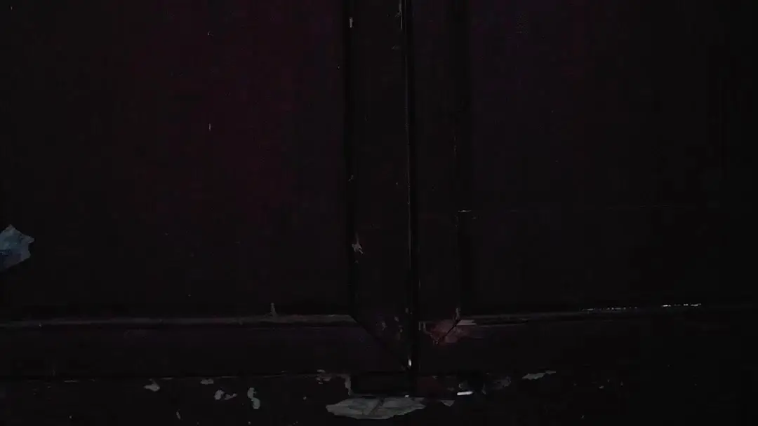 Blades Beneath Silk: When Dance Becomes a Death Sentence