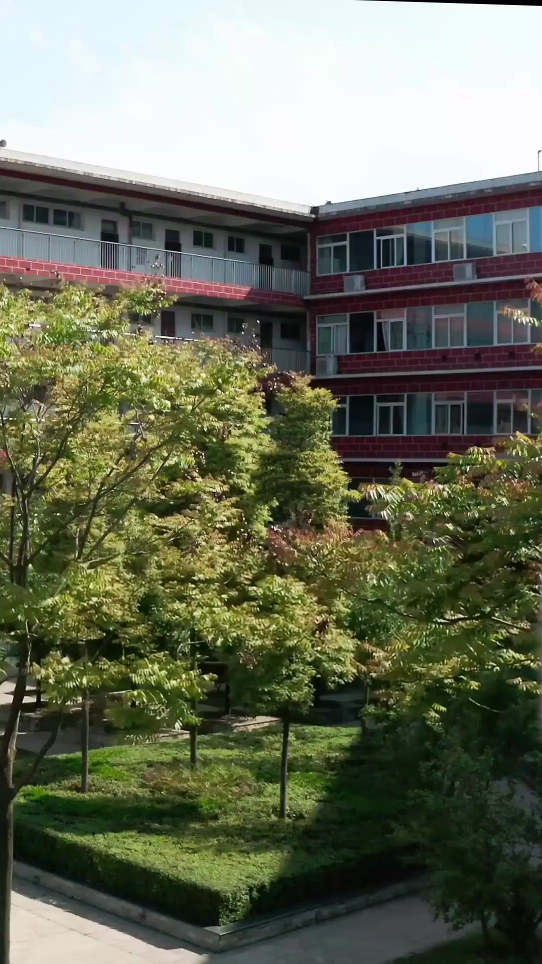 Aprendí a quererte cuando te perdí