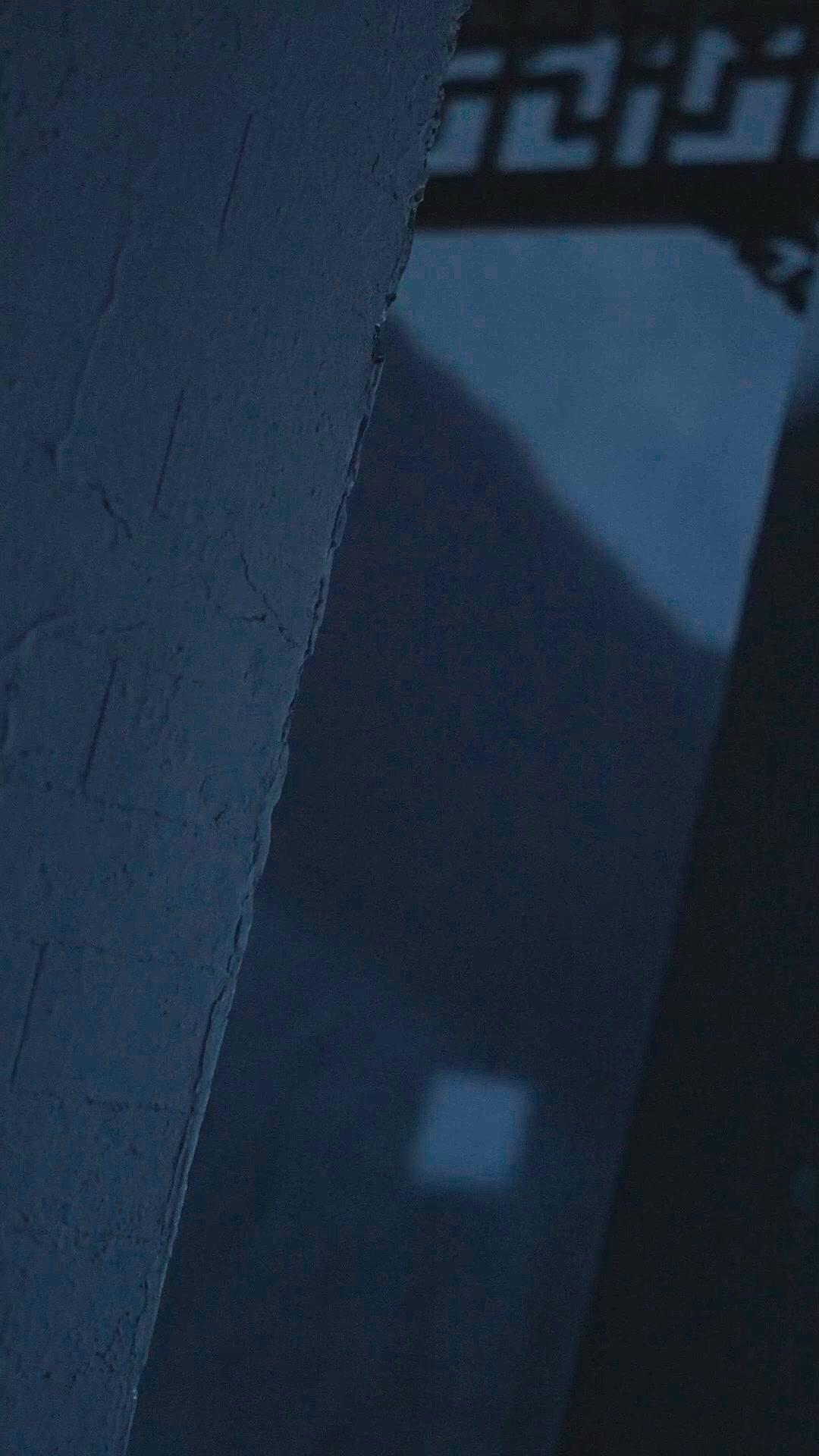 Ballad of Shadows: Moonlit Resolve