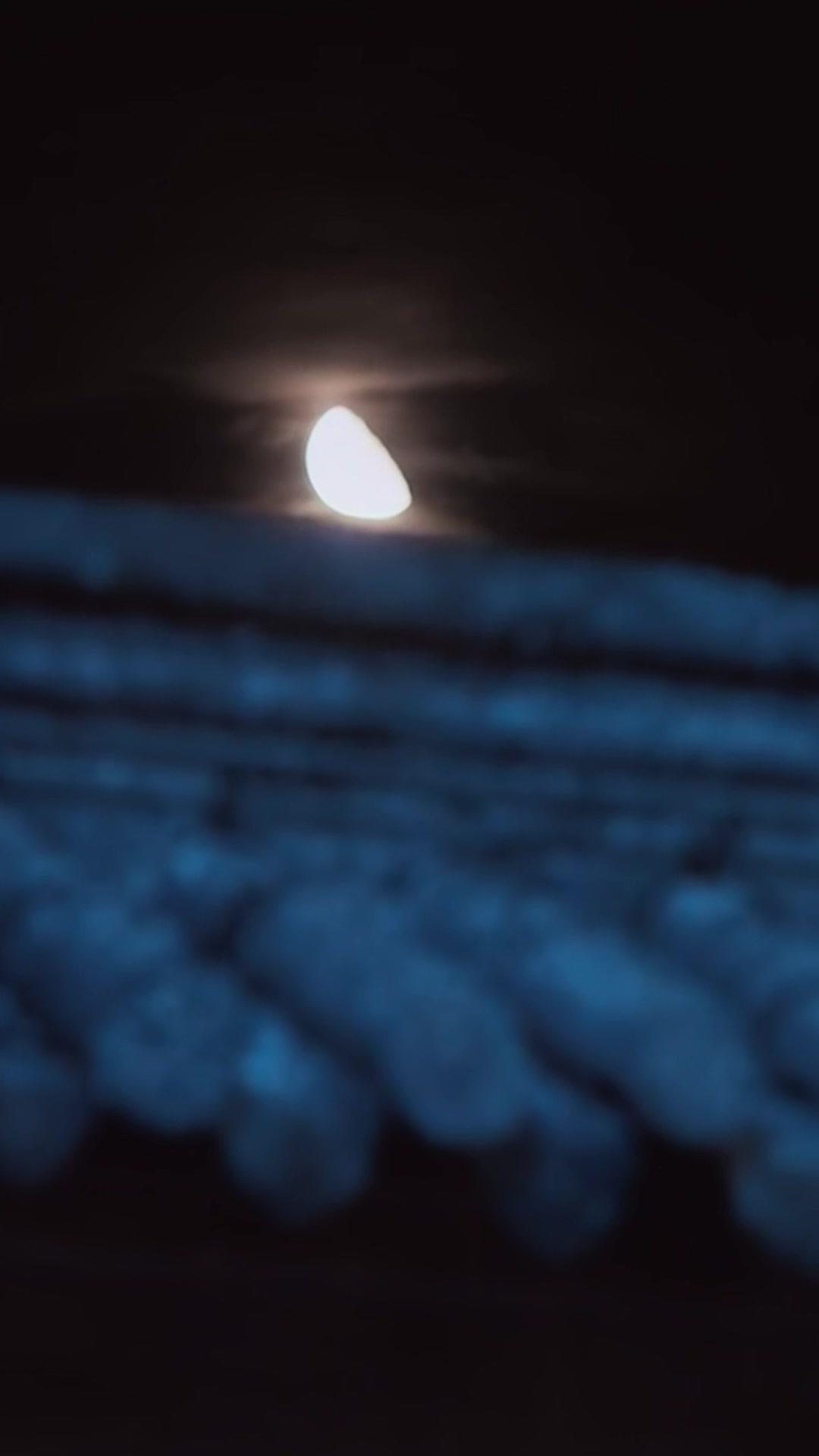 Regina Rinata: Fiamma della Vendetta