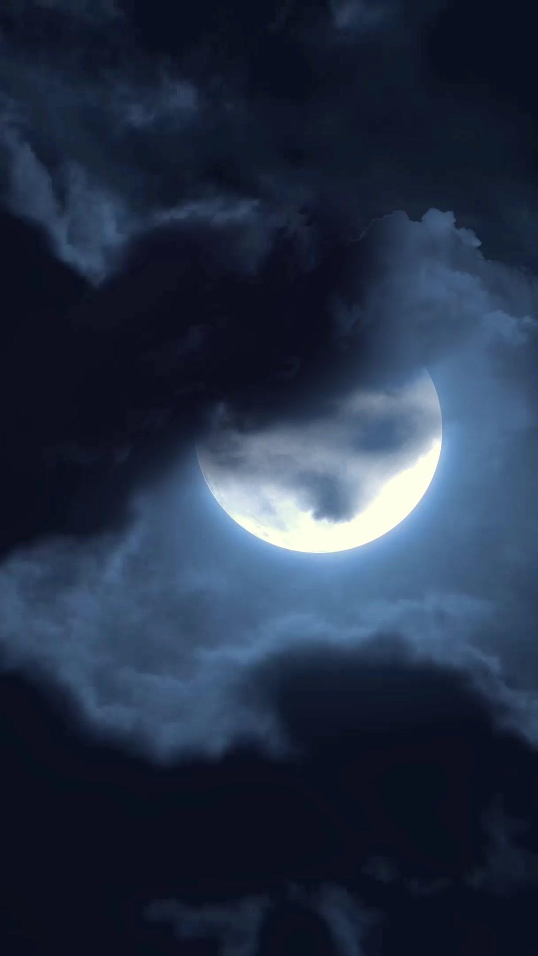 His Wife, His Art, His Madness