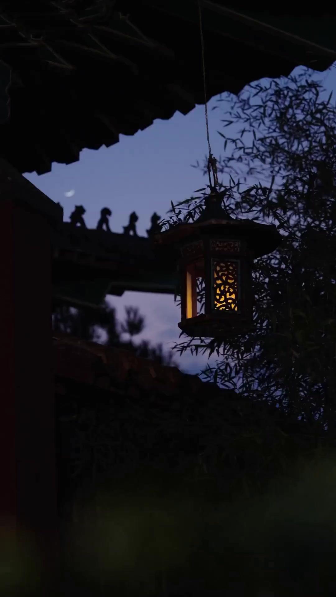 (Dubbed) Bye, Playboy! Hello, Throne!