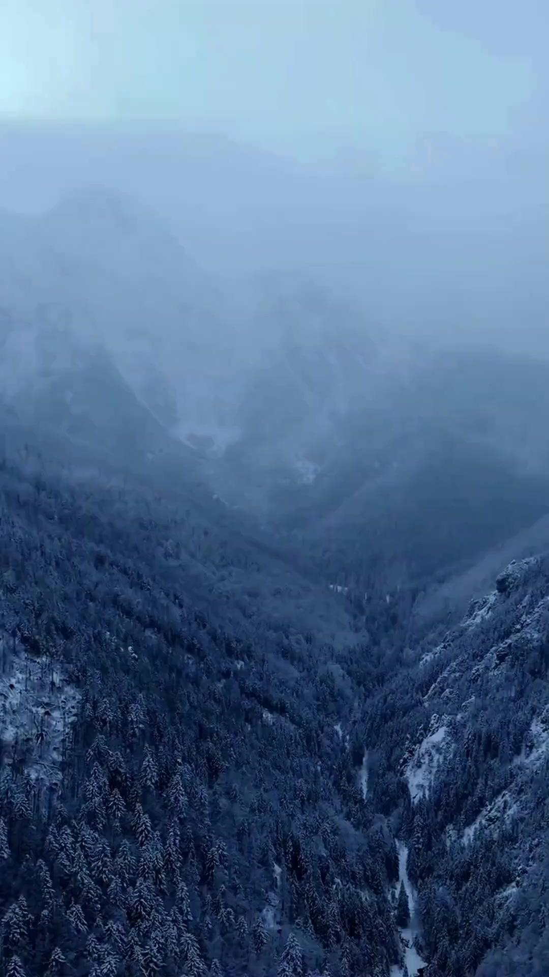 (Sulih suara) Dengan Sistem, Aku Besarkan Putriku