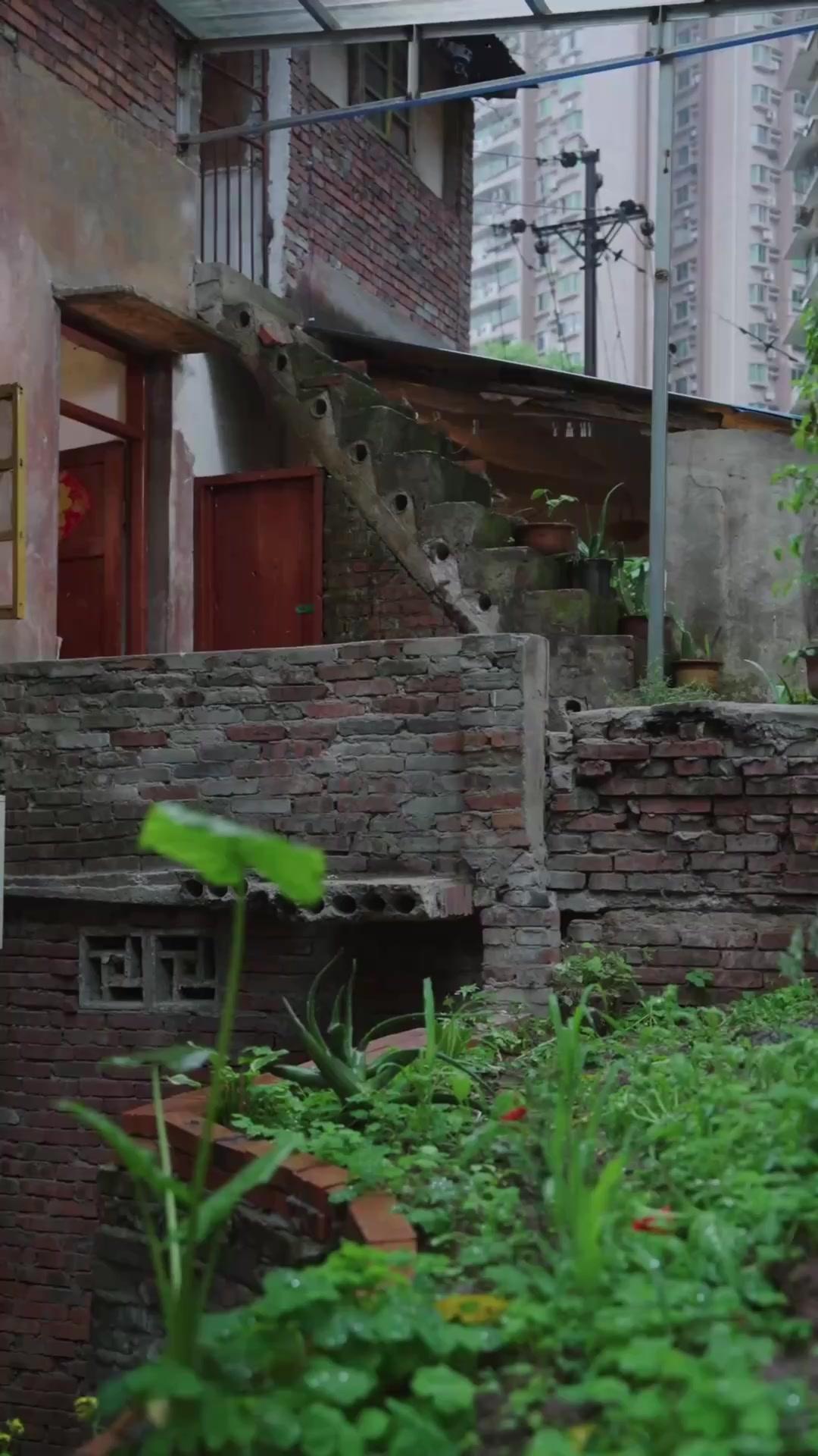 ความรักที่ตายไม่เป็น