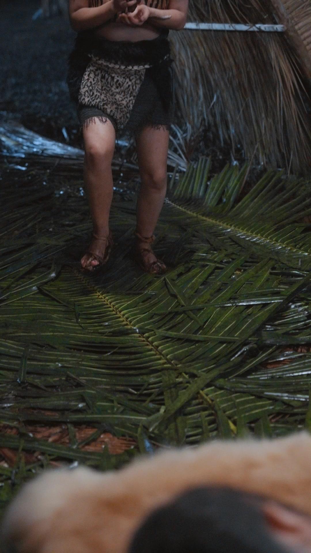 Angin Jatuh Di Rimba