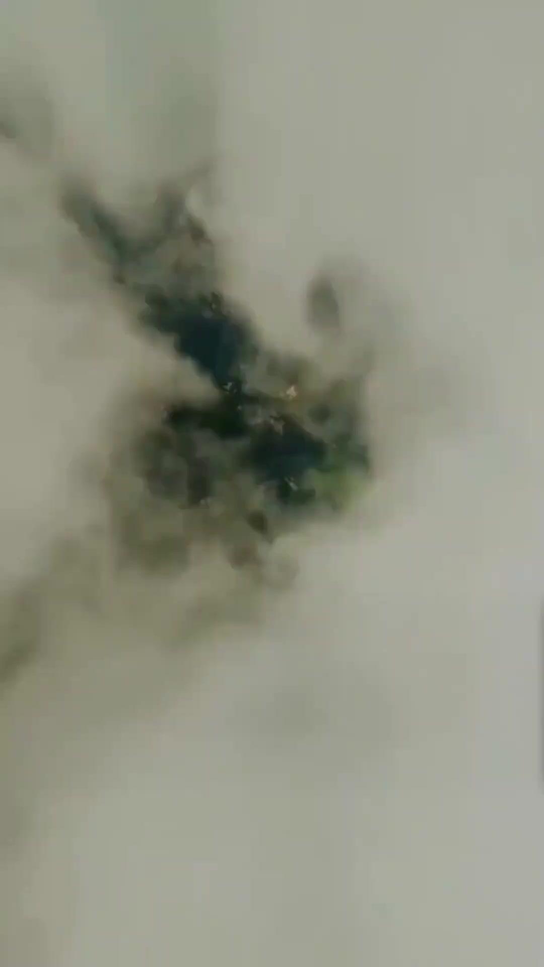 (Dubbed)Master? Not Me!