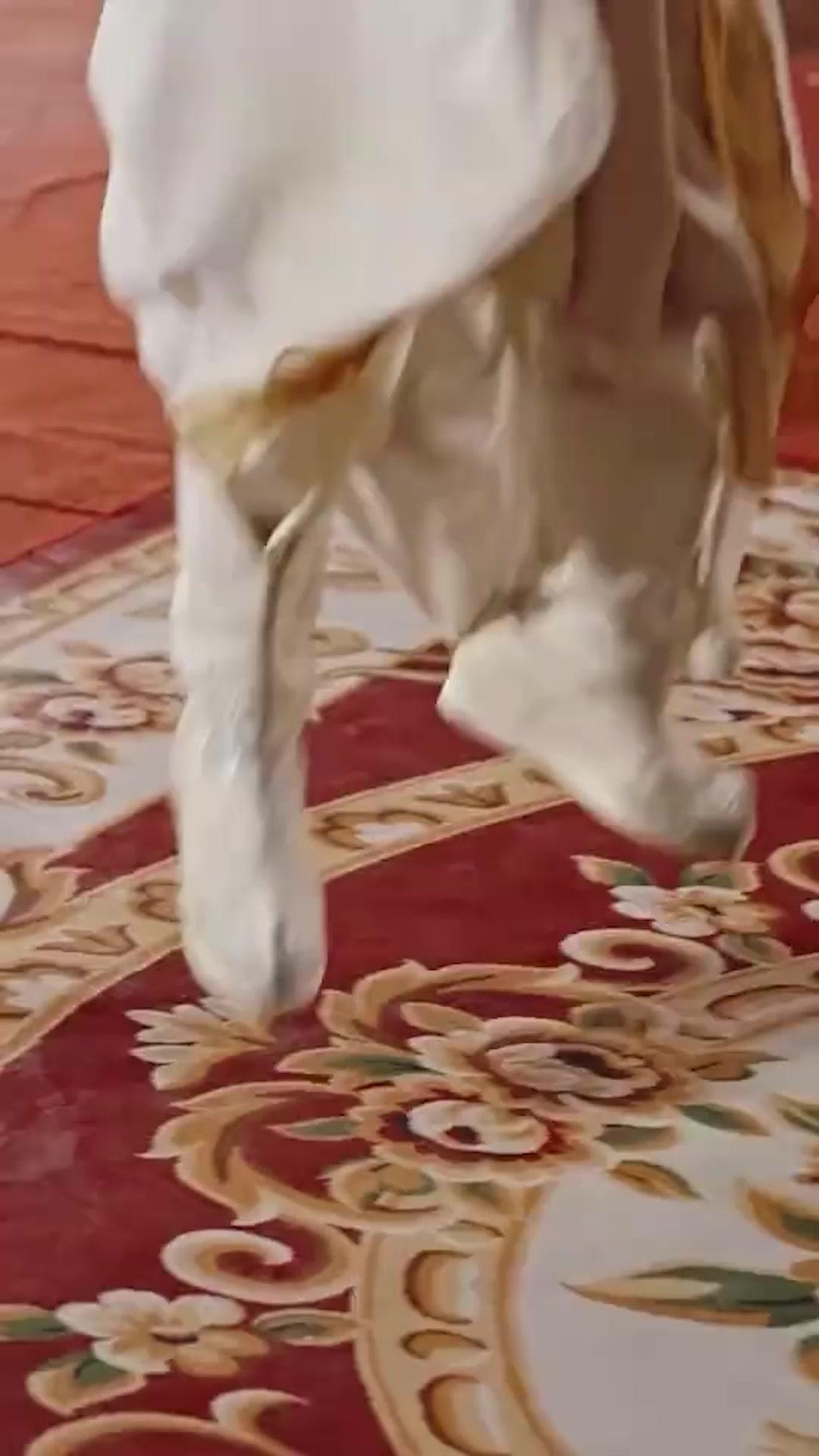أنا حرة