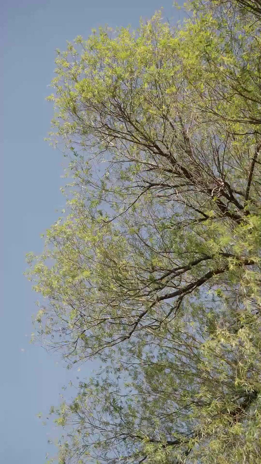 OMG! Fortune’s Driving Me Nuts!