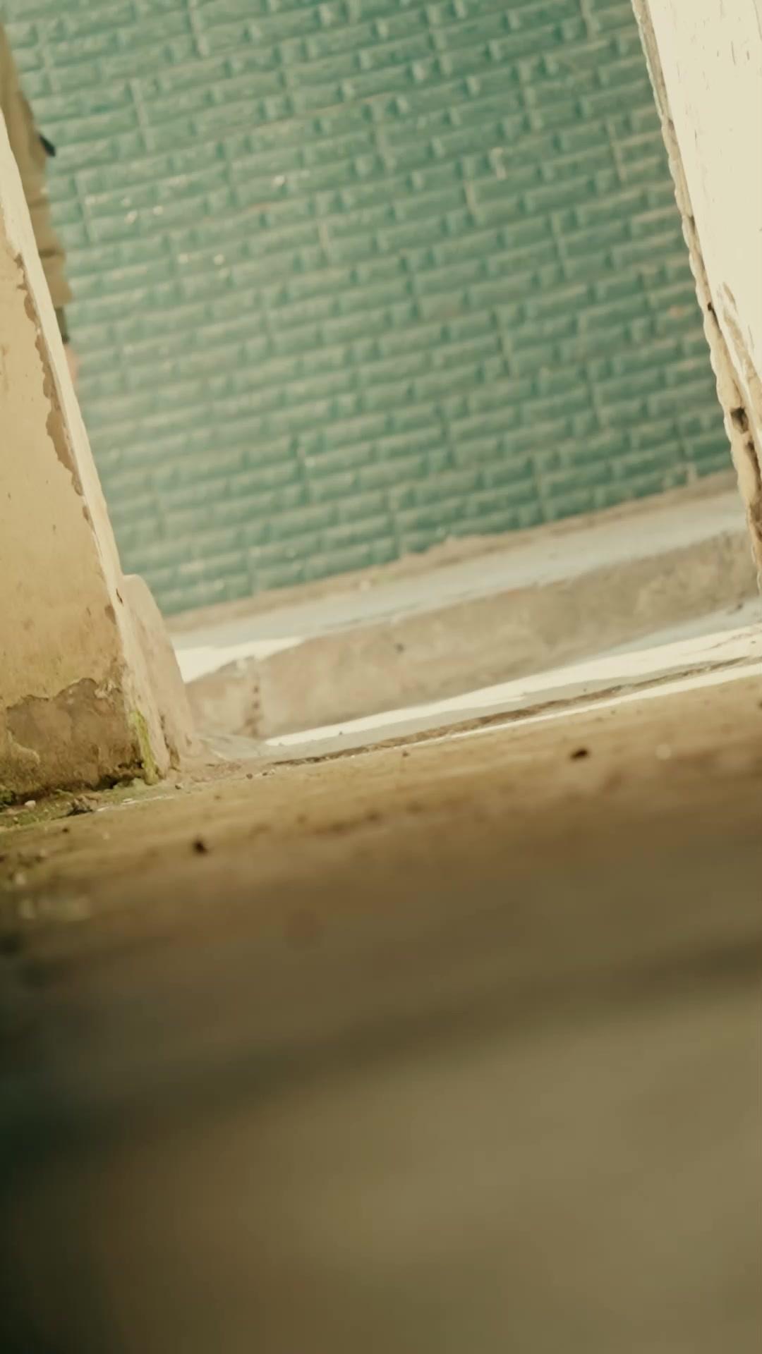 Não Tenha Medo, Mamãe Chegou!