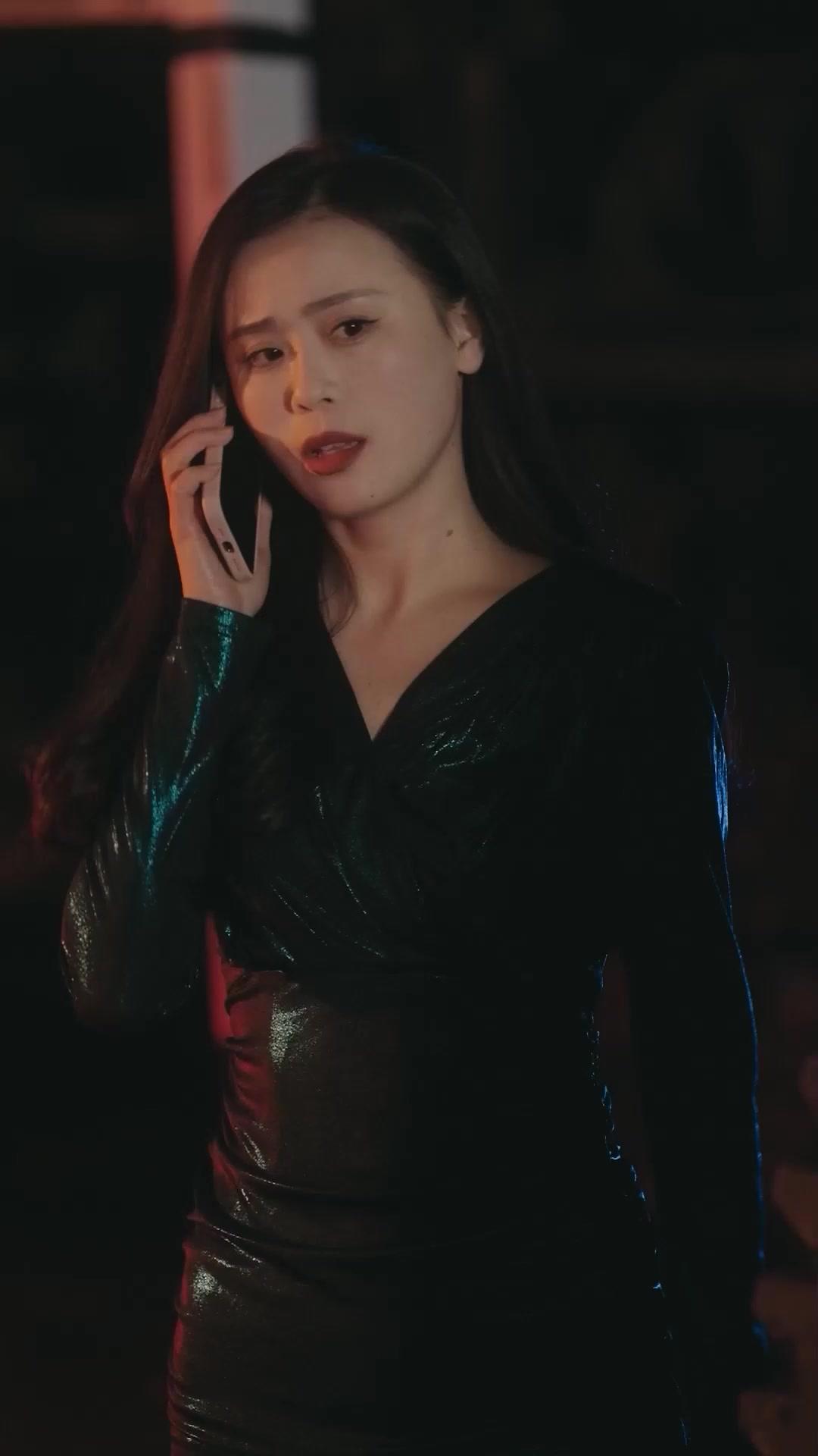 Der verborgene Wolf – Die Rückkehr des alten Kämpfers