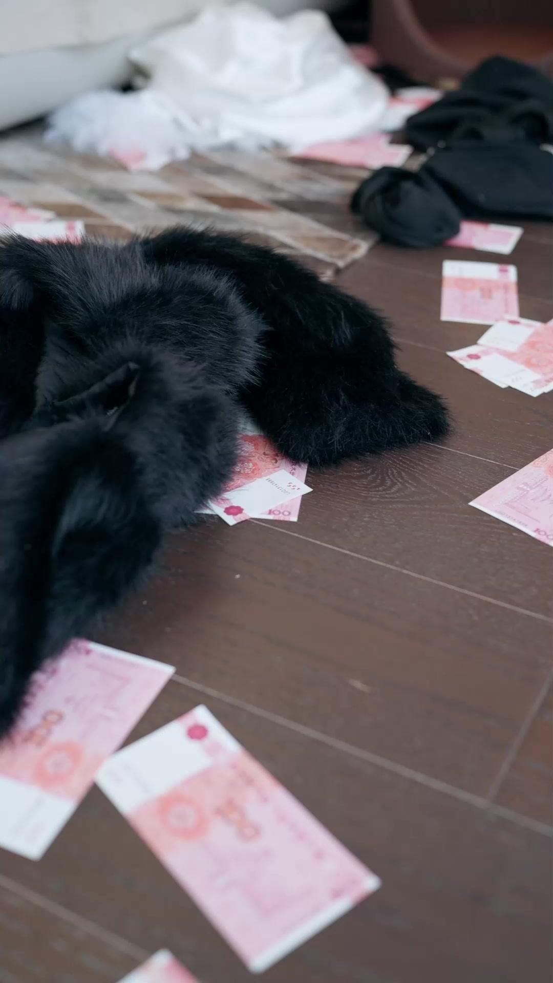 撿到落難貴公子