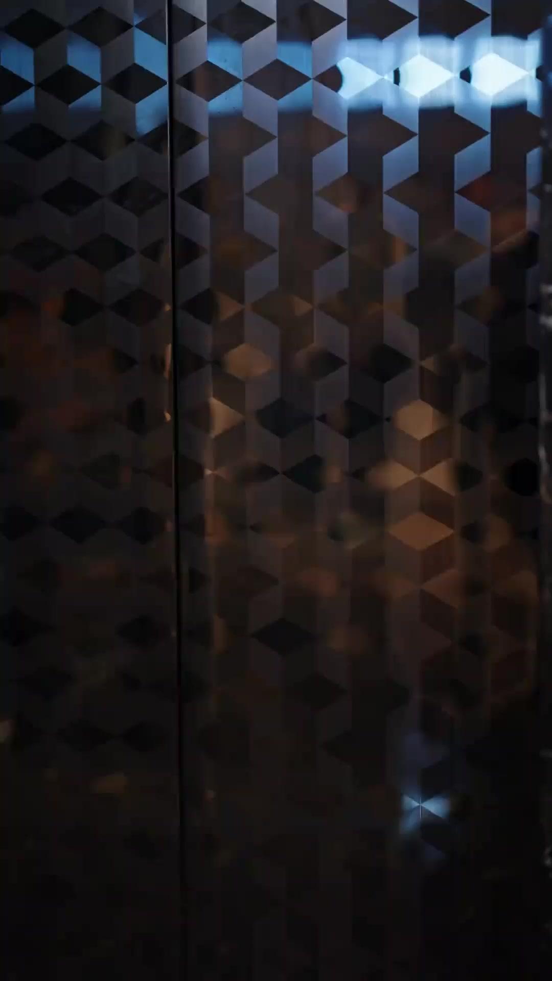 (Doppiaggio) Il Drago e la Madre dei Gemelli