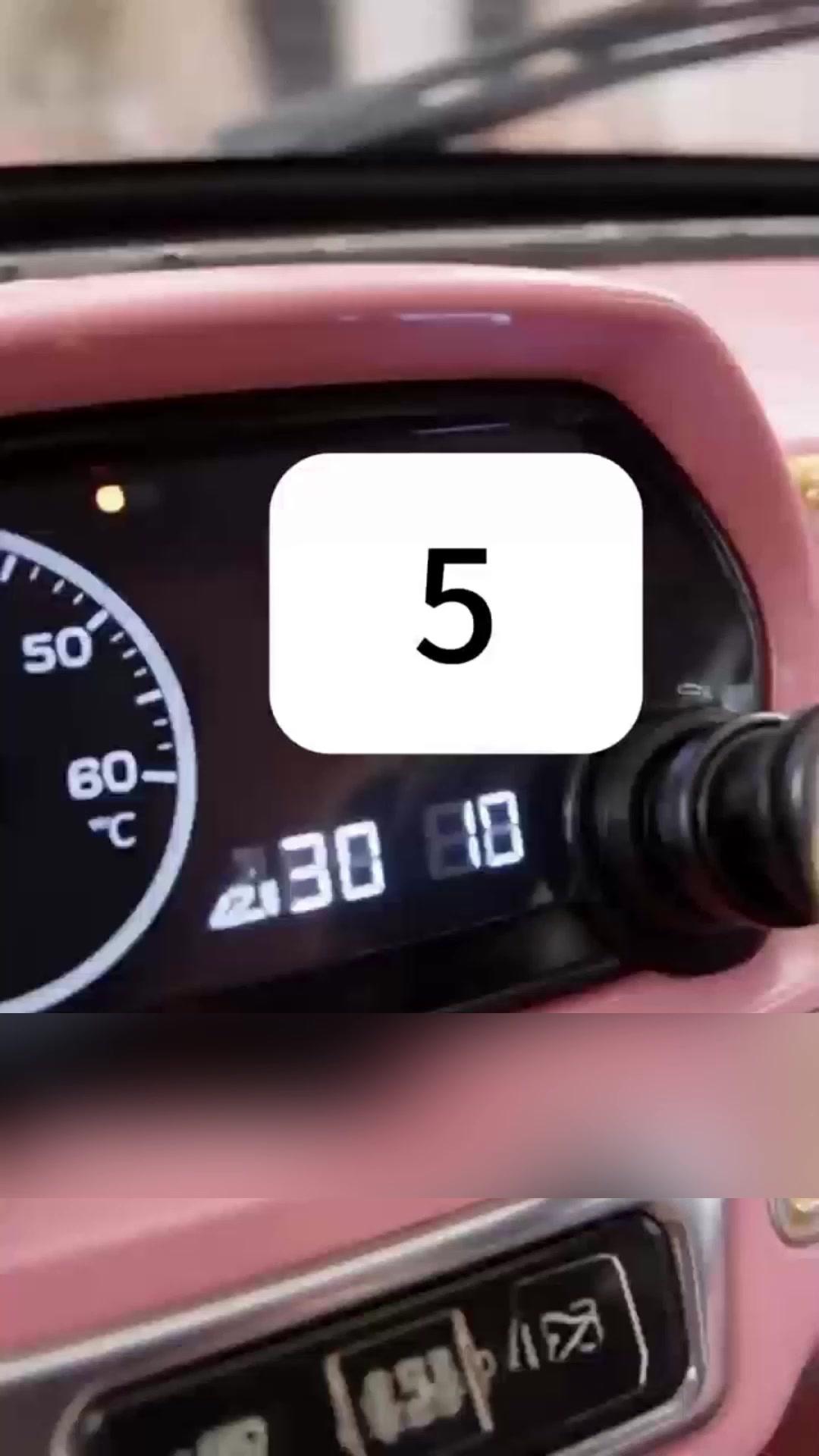 Tiny Car, Big Survival