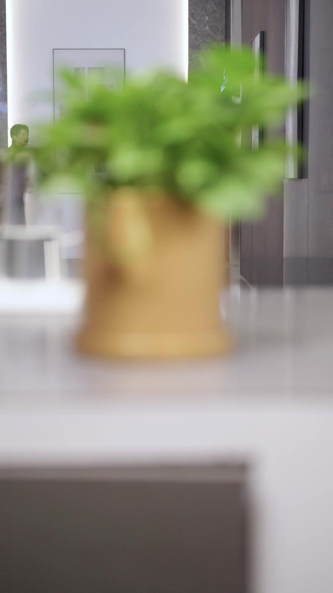 Help! My Contract Husband Is a Total Dummy