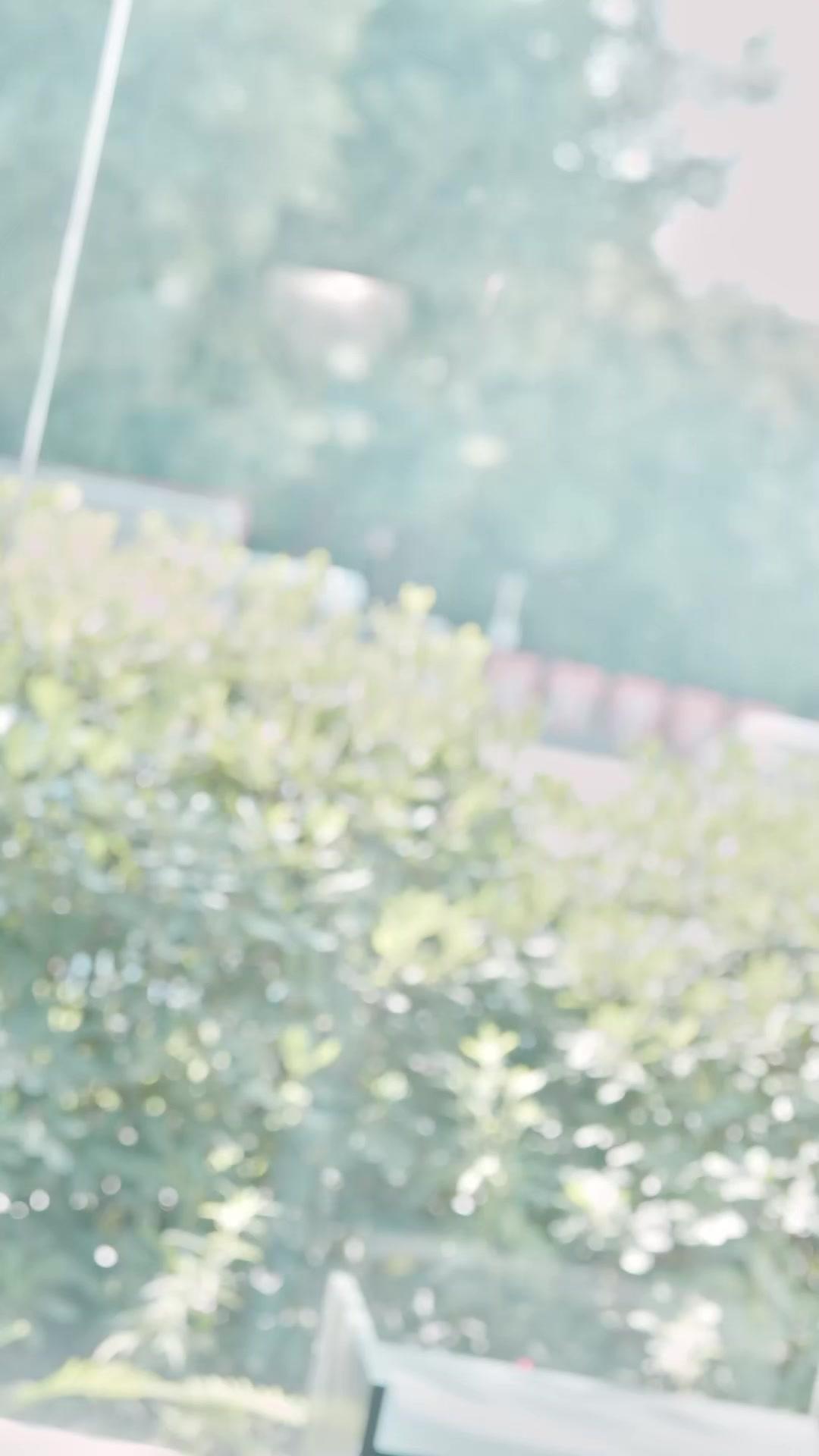 Terjebak di Dunia Novel