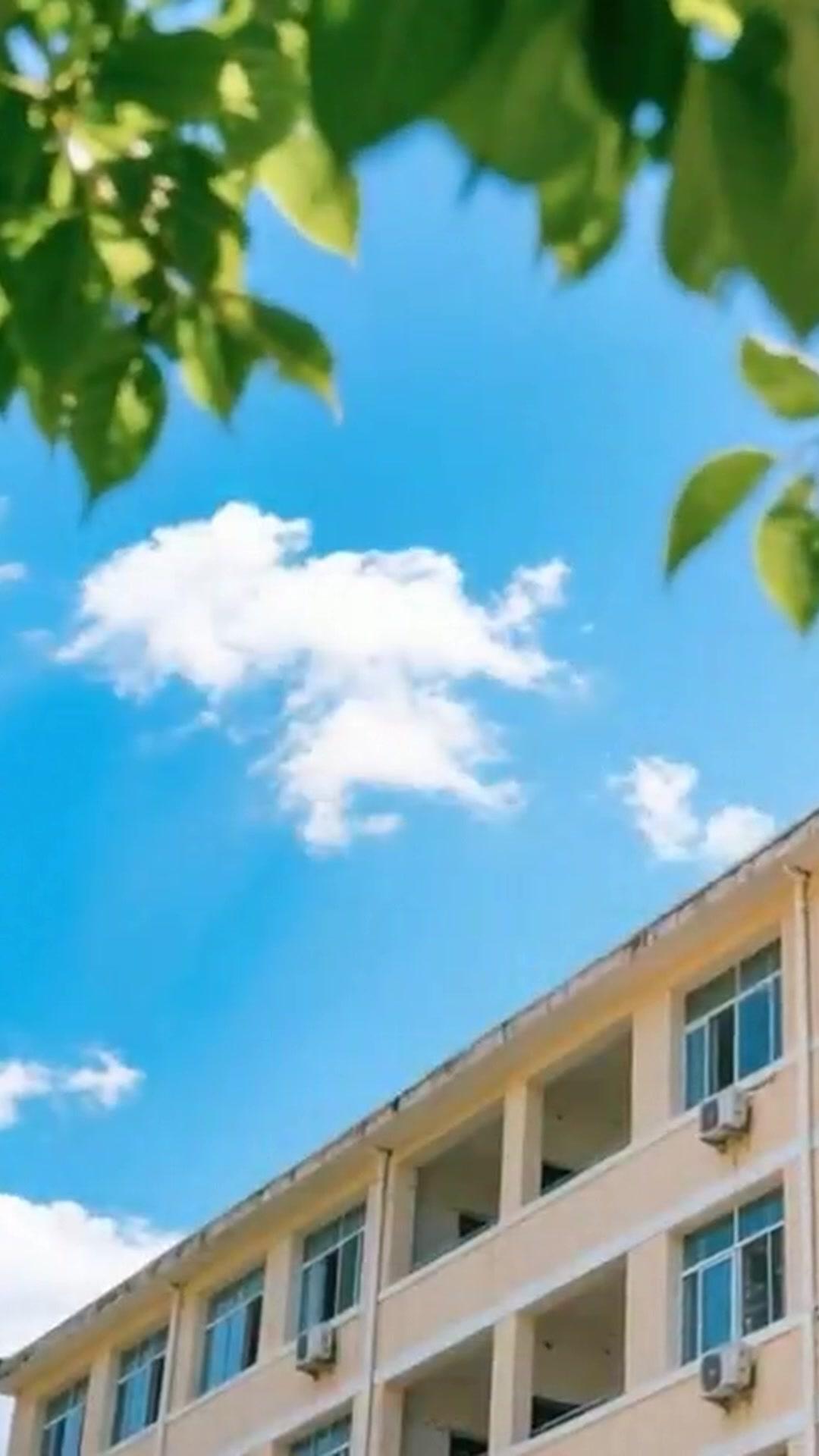 Reborn and Become a Billionaire's Wife