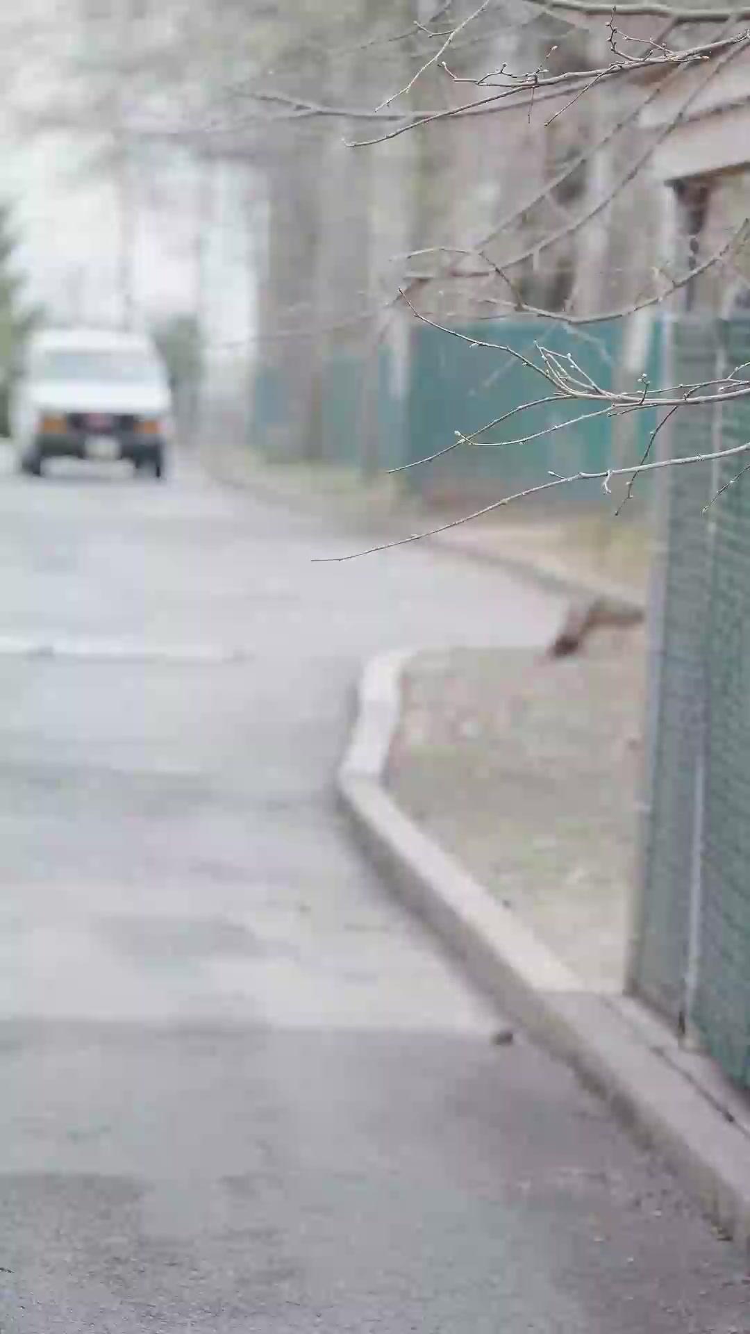 (Doblado)Mi amor, mi refugio