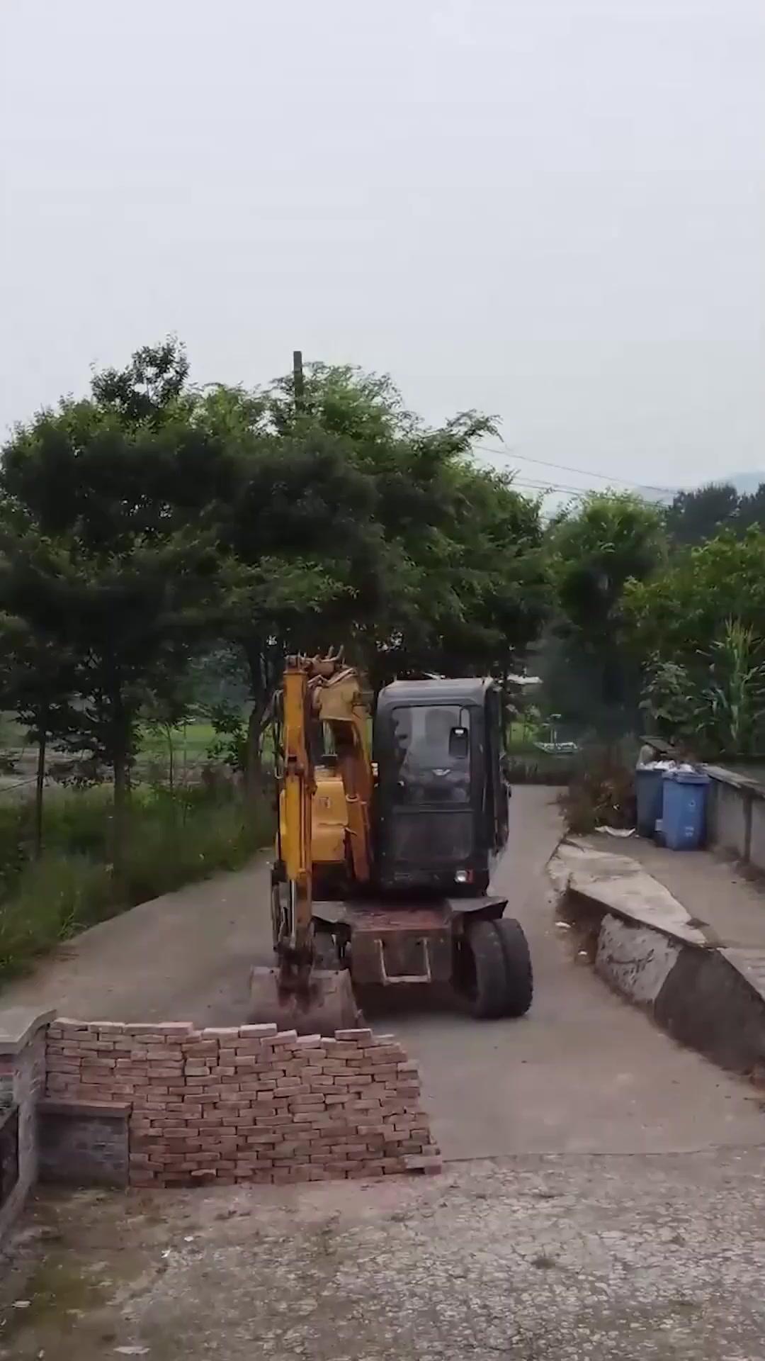 我家總裁是村姑