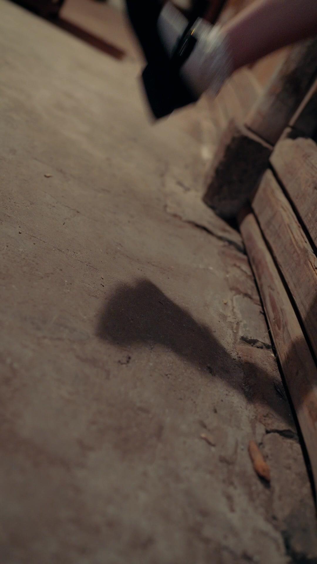 萌娃老祖宗：龍家我說了算