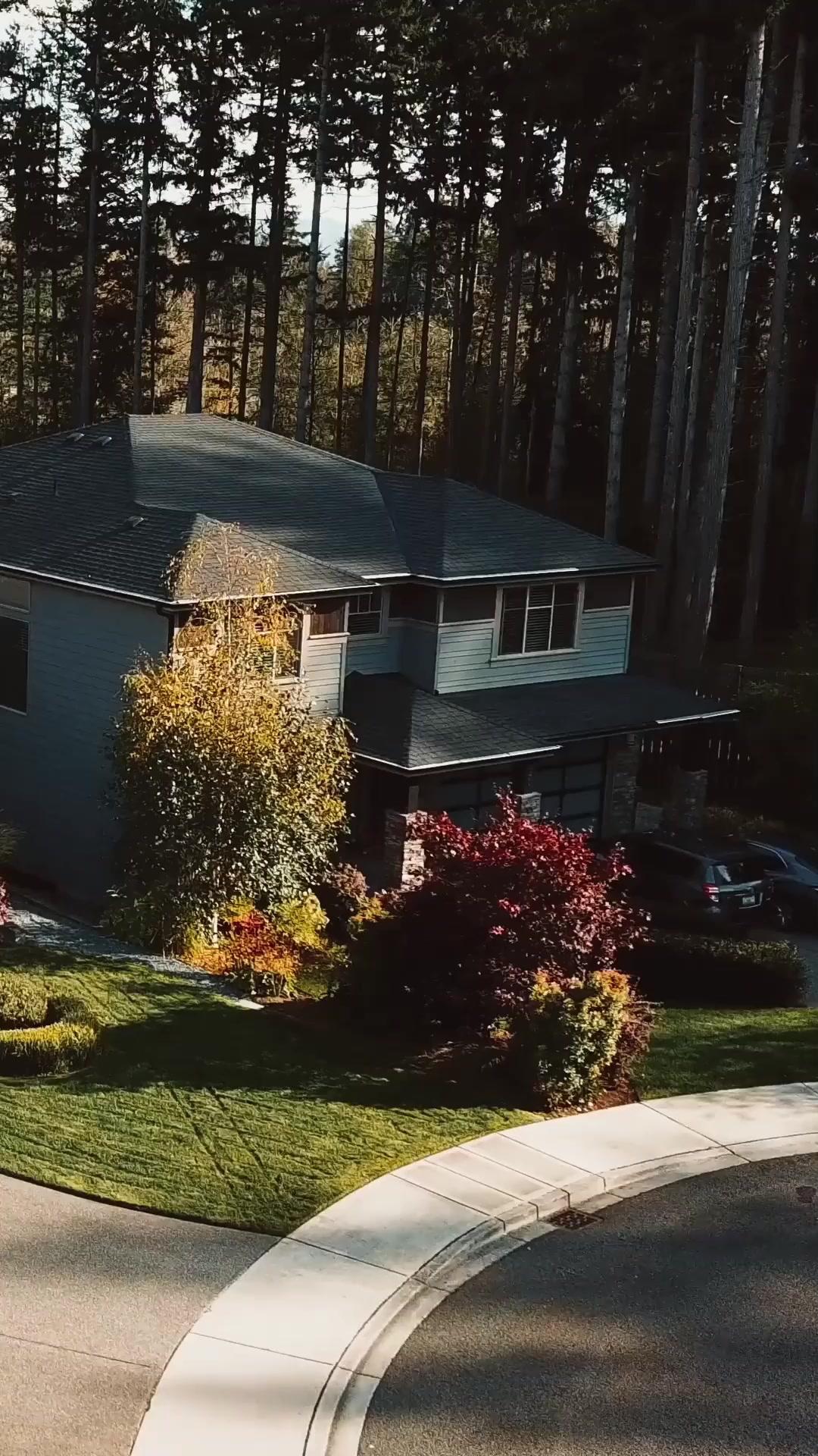 Love’s Bitter Harvest