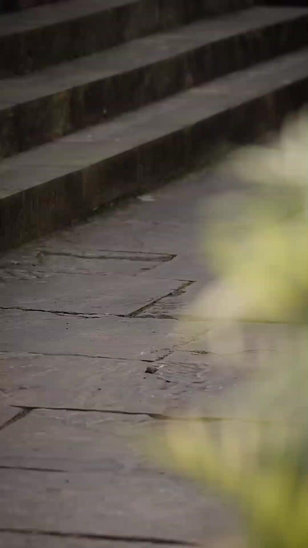 (Doublage)MA FILLE, LE PILIER DU PAYS