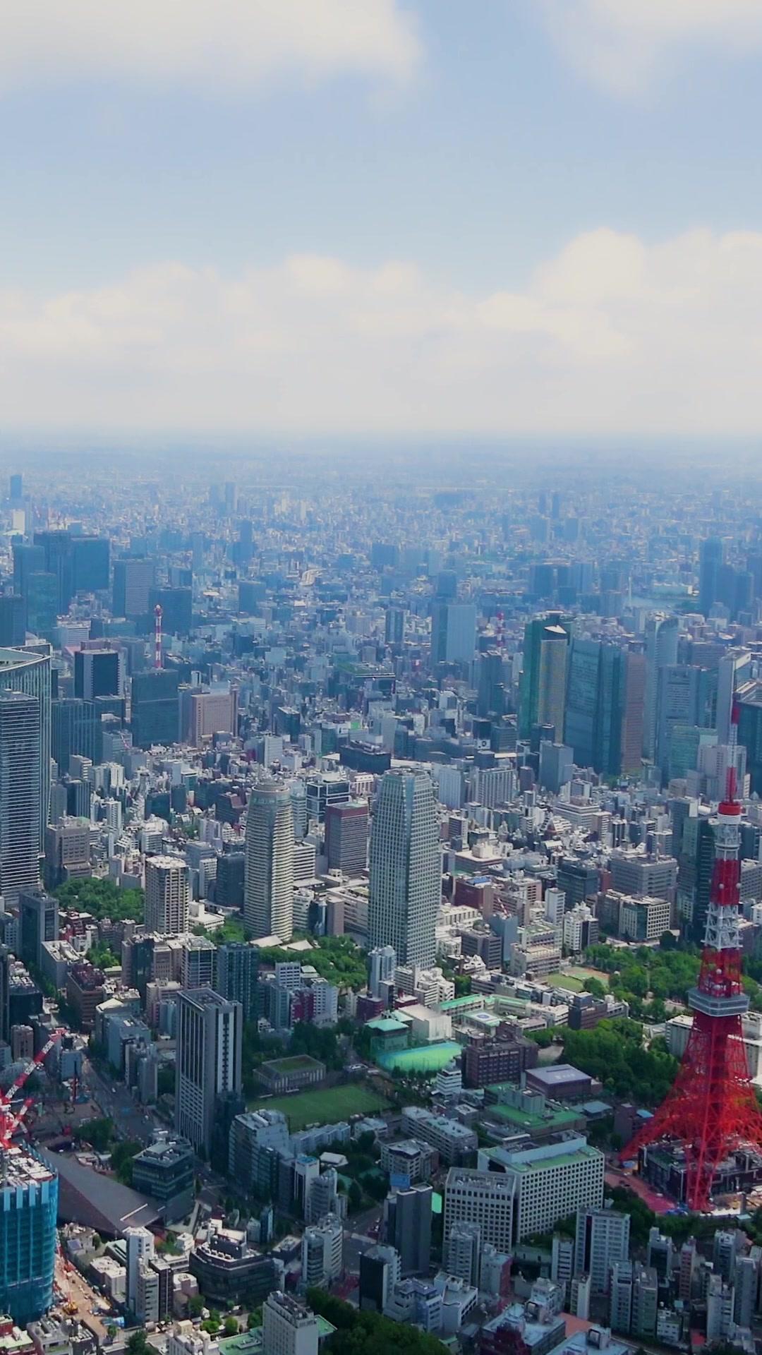 暴君がメイド服で料理？元令嬢を追放した夫の末路