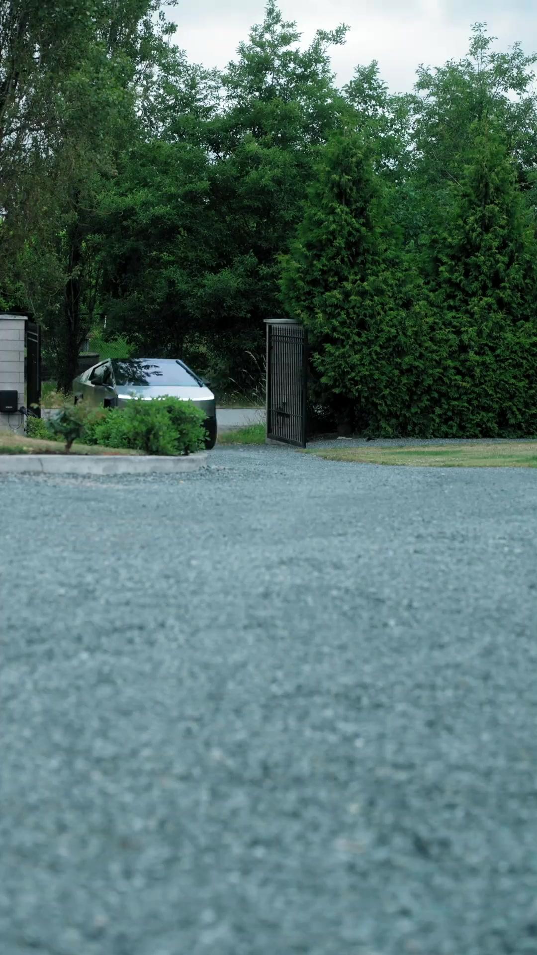 A Noiva Predestinada do Rei Alpha