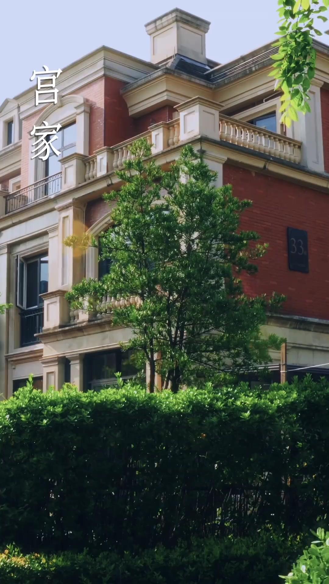 Depois de Sete Invernos Sem Você