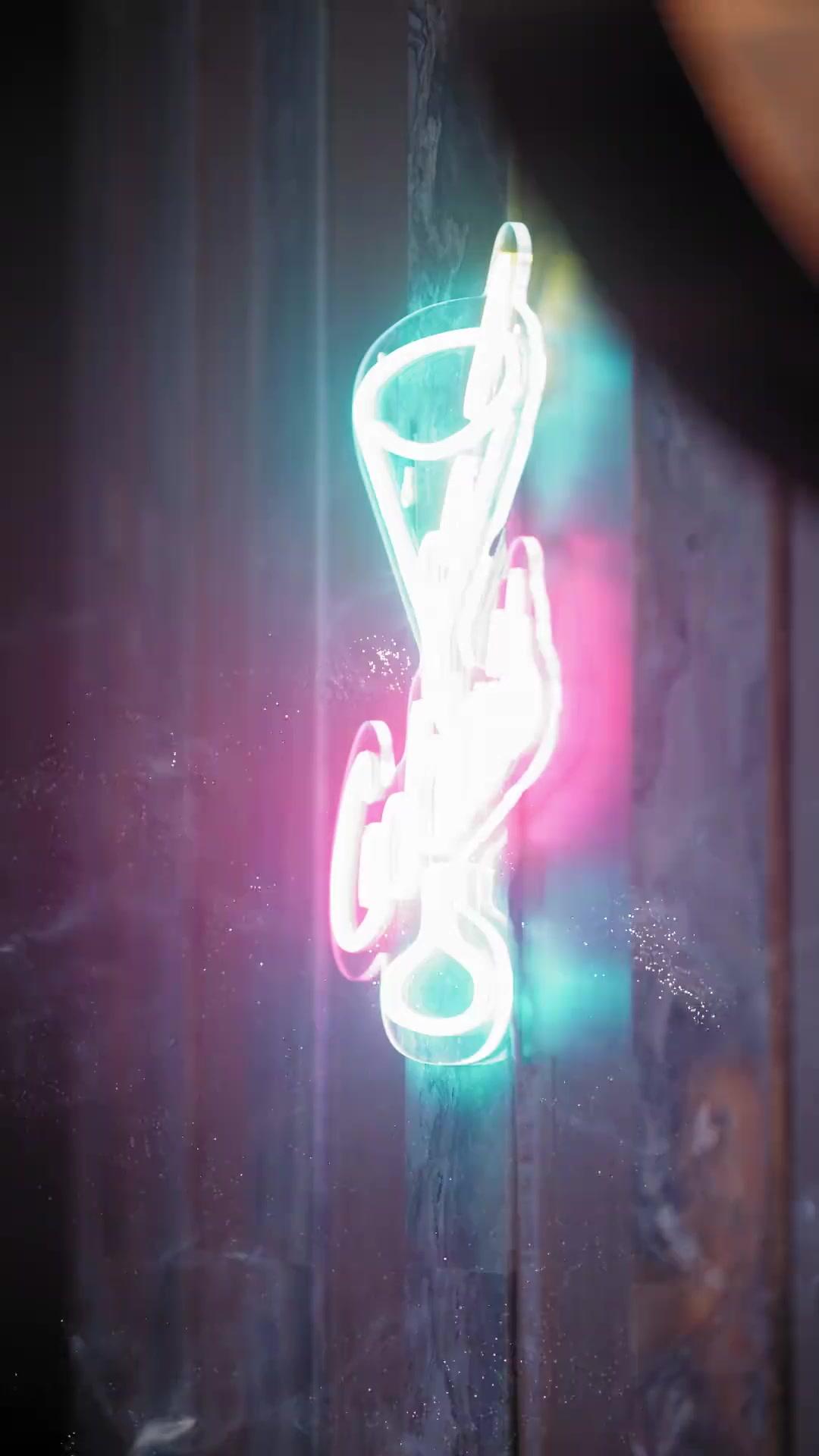 LA VIERGE DESTINÉE DU ROI ALPHA