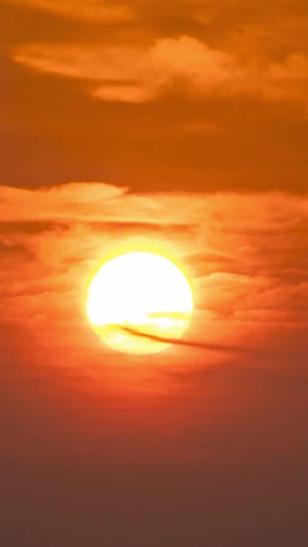 Obedeça-me, Filho do Presidente