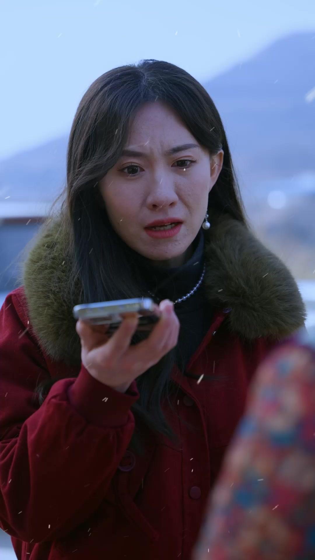 A Snowbound Journey Home