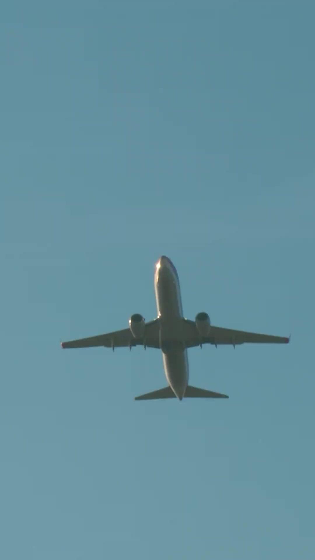 İhanetin Gölgesinde 