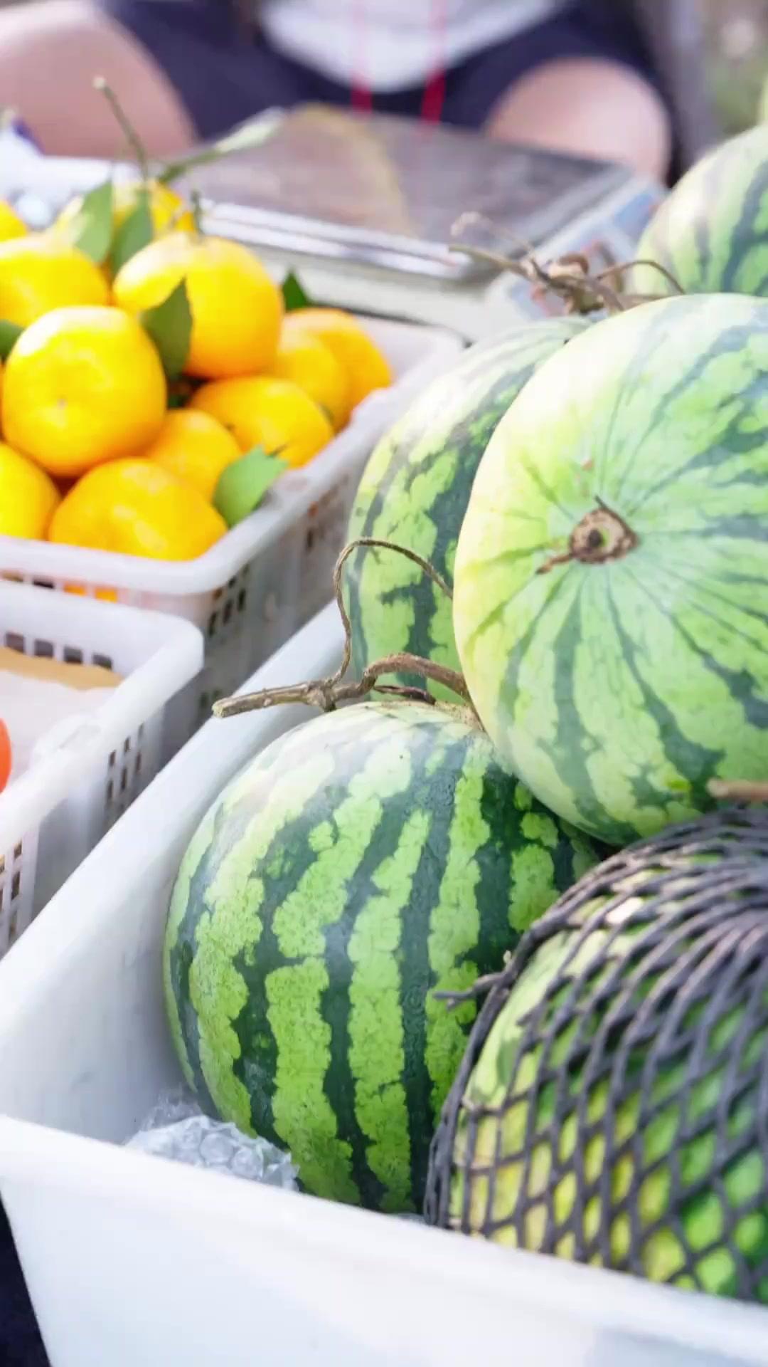 الطفلة اللطيفة تهاجم… أيها الأب استعد