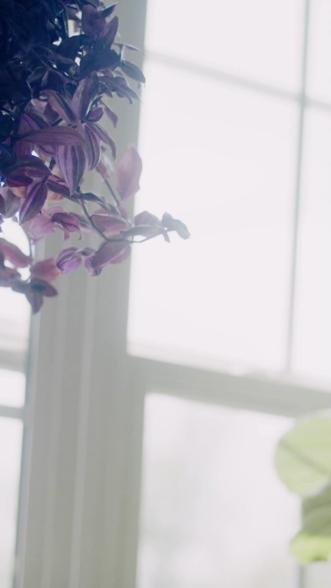 (Doublage)CONTRAINTE D'AIMER UN PDG IMPITOYABLE