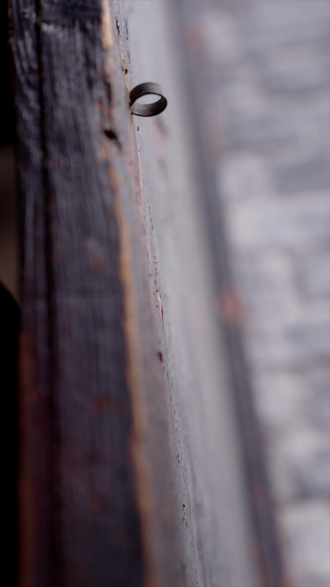 Bunga Mekar Musim Panas