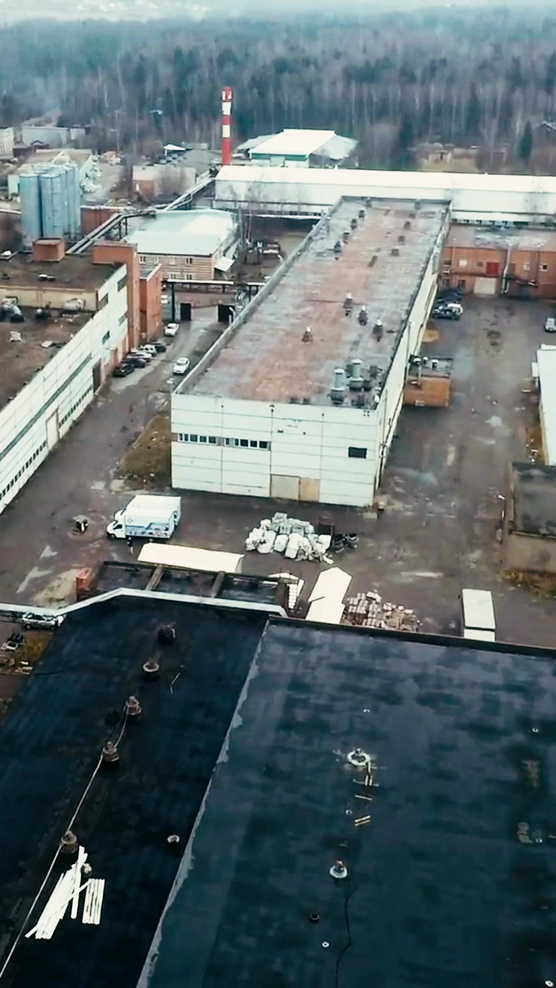 Mein eiskalter Alpha-King