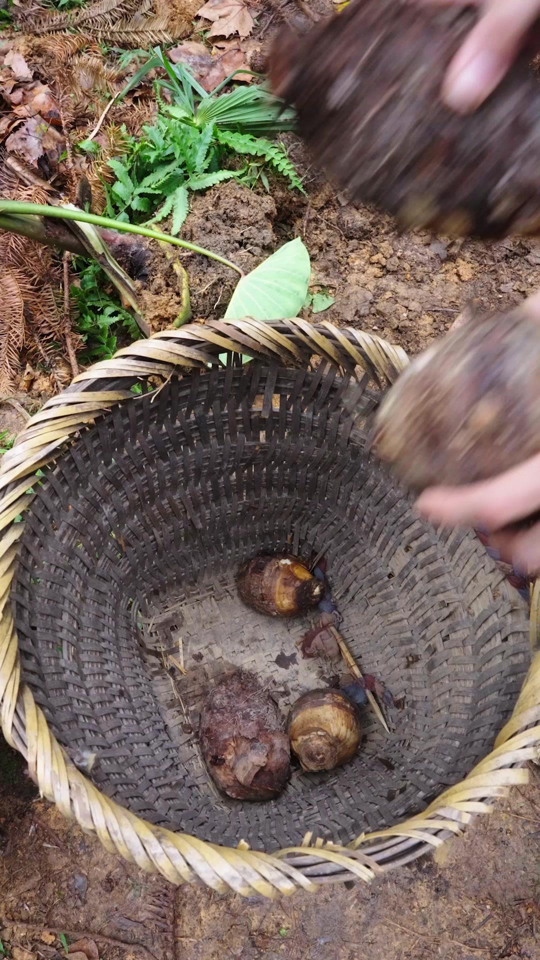 صيّاد الجبال… وزوجته المدلّلة