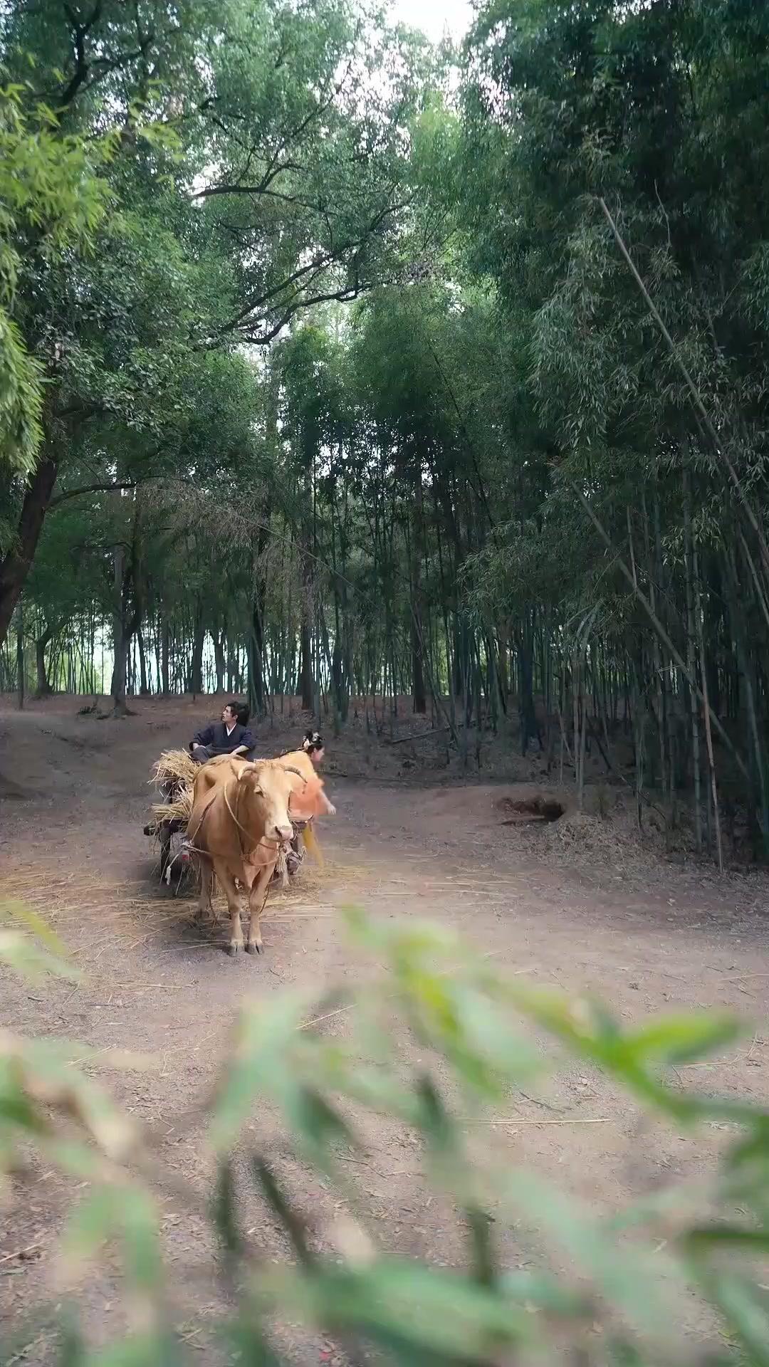 Ikatan Cantik, Kekuatan Abadi