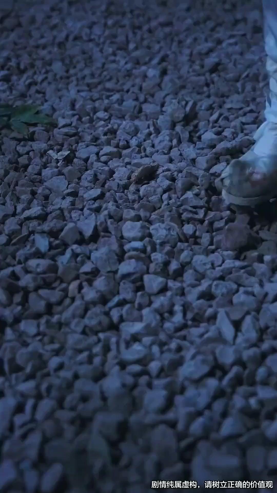 (Dubbed)Rise from the Ashes