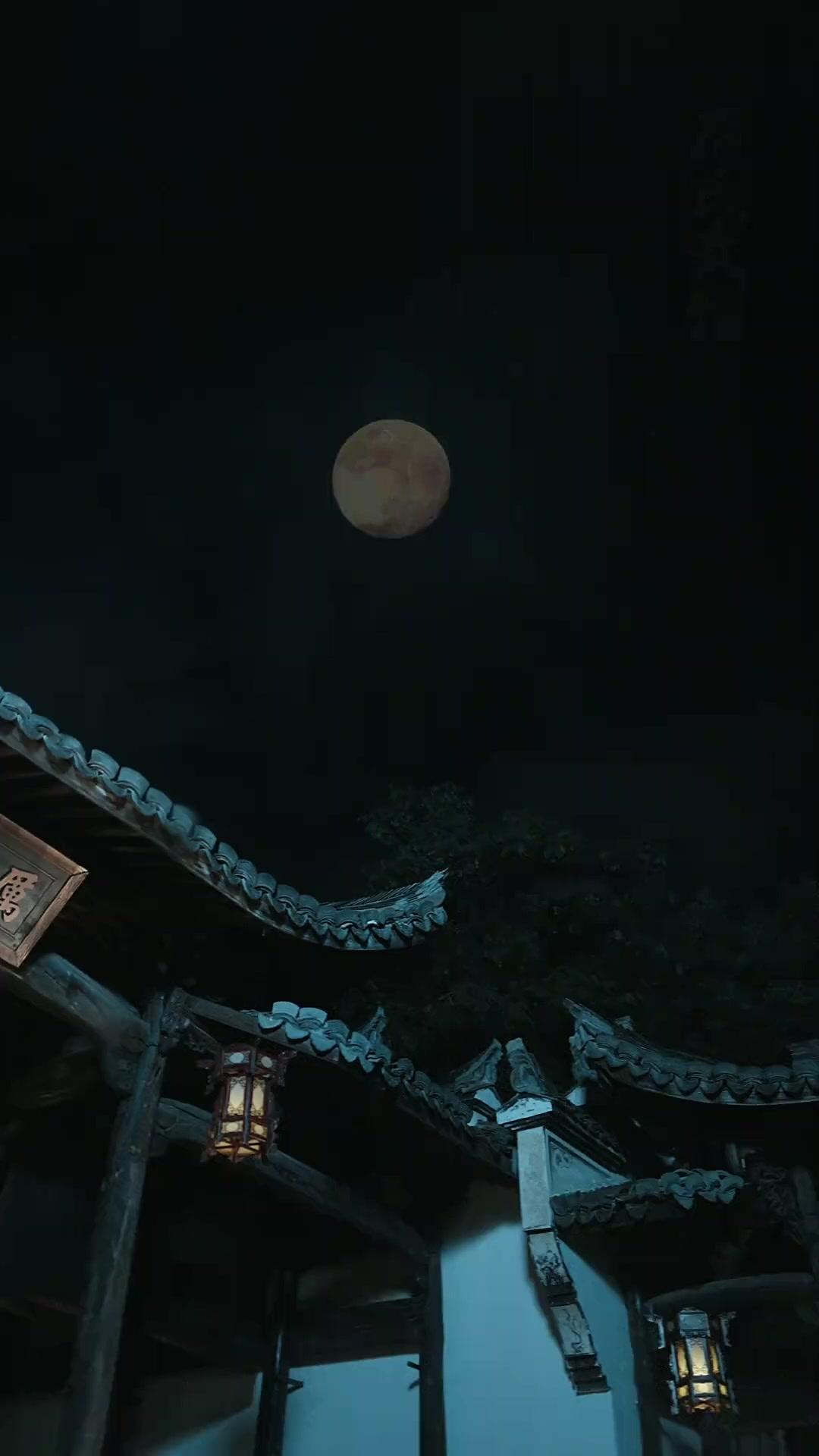 Meu Pai é um Punho Lendário