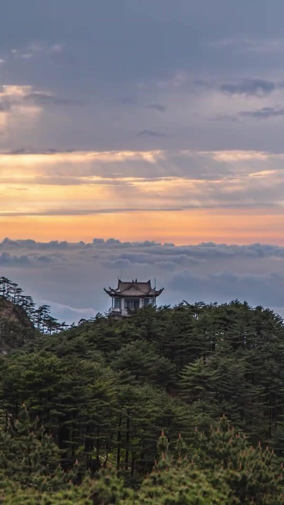 (Doblado)Honor bajo la sombra