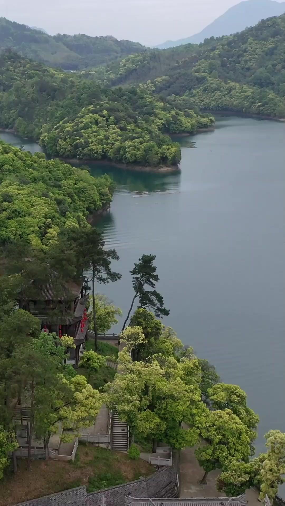 Thiên Tài Bị Che Giấu 